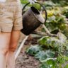 women watering her garden