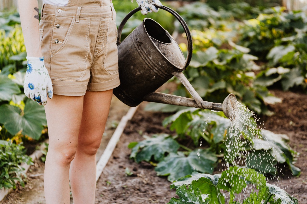 women watering her garden